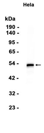AYD12312