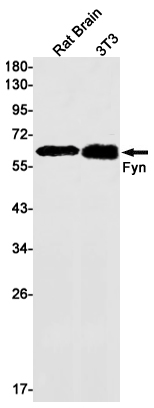 AYD12200