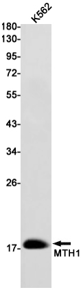 AYD14894
