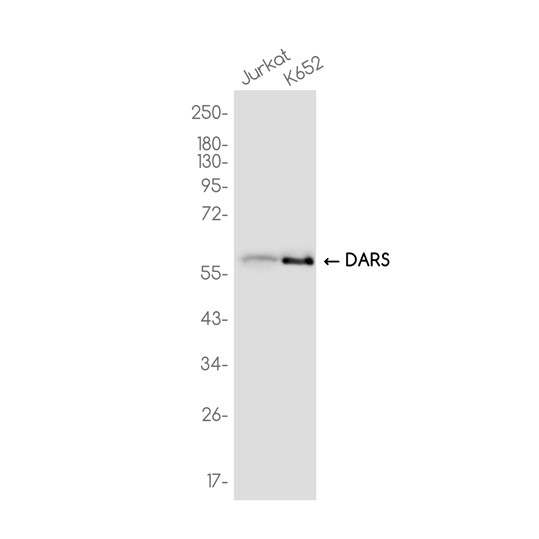 AYD14366