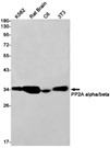 AYD12340