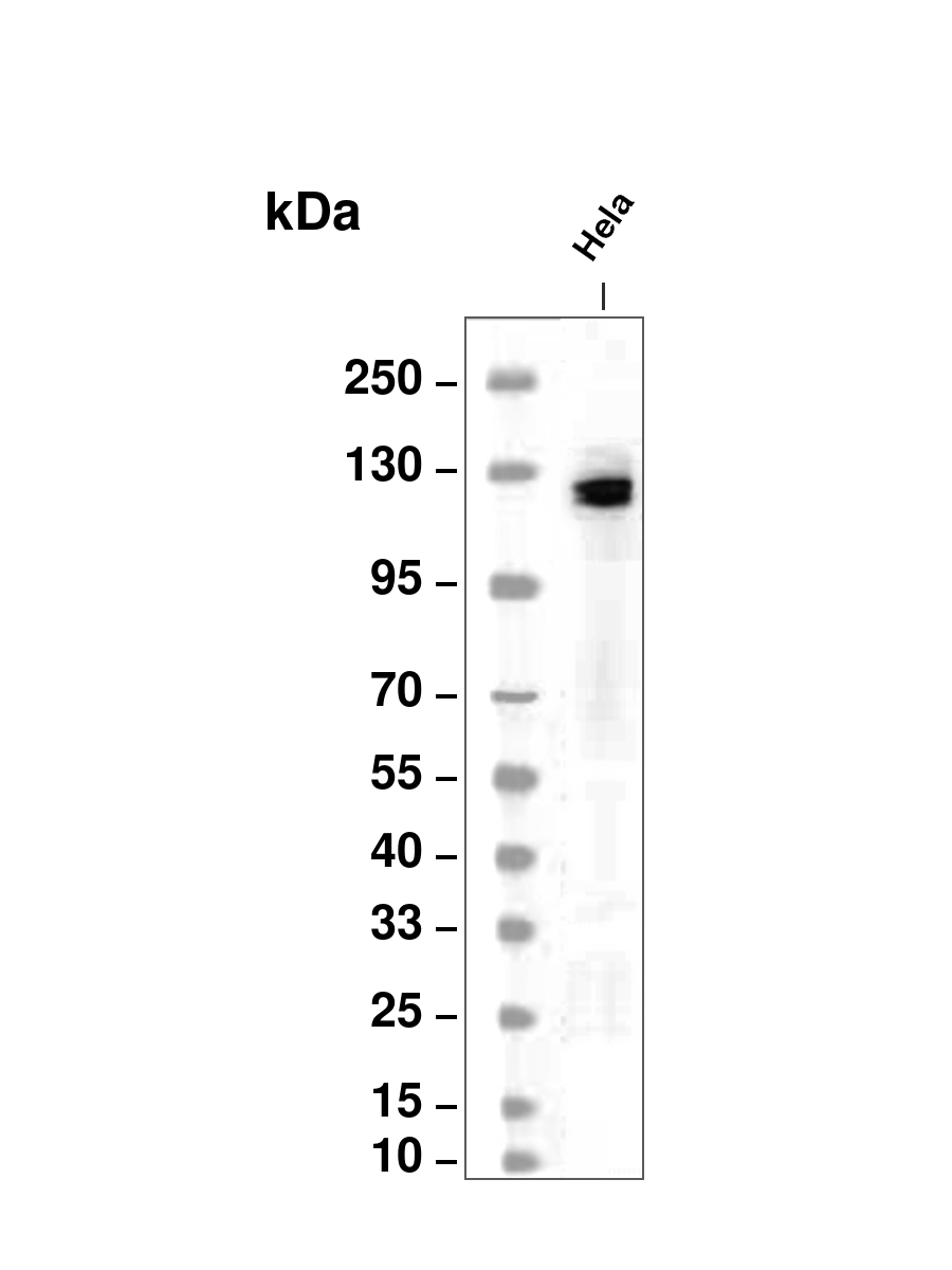 AYD14001