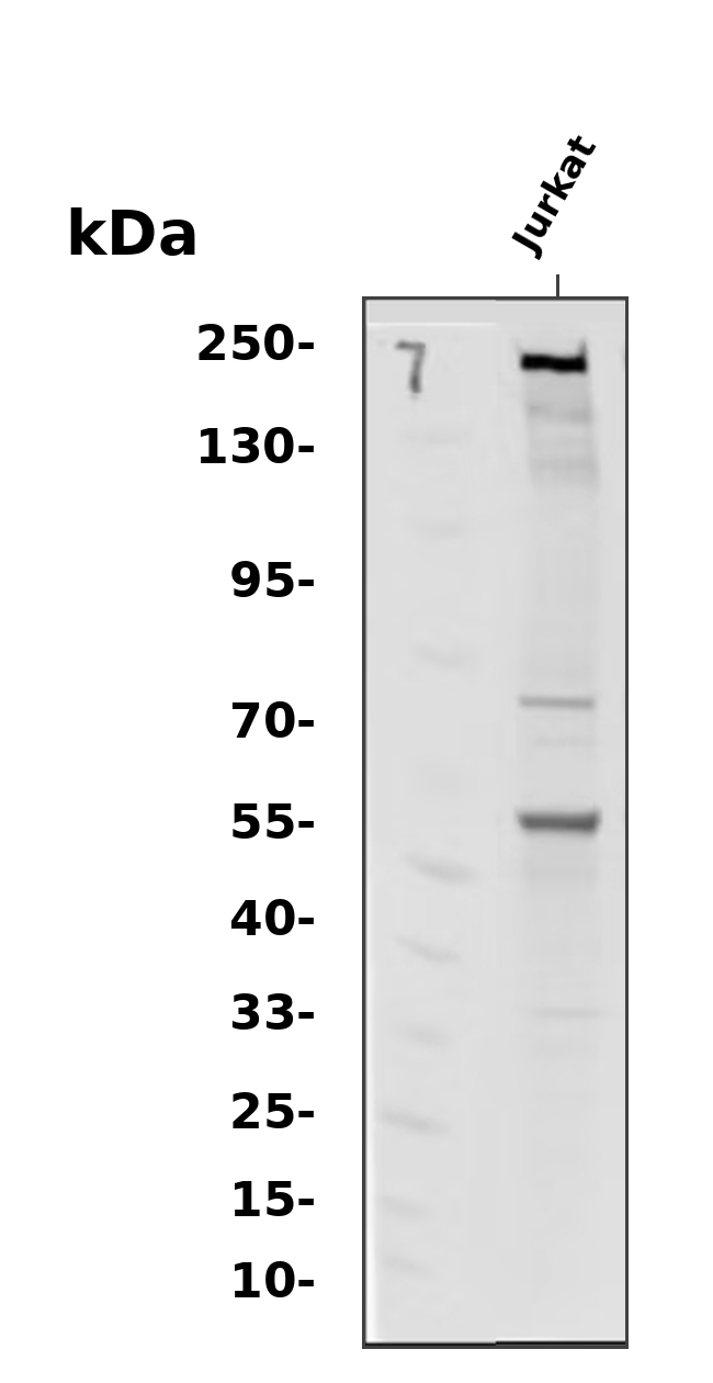 AYP4152