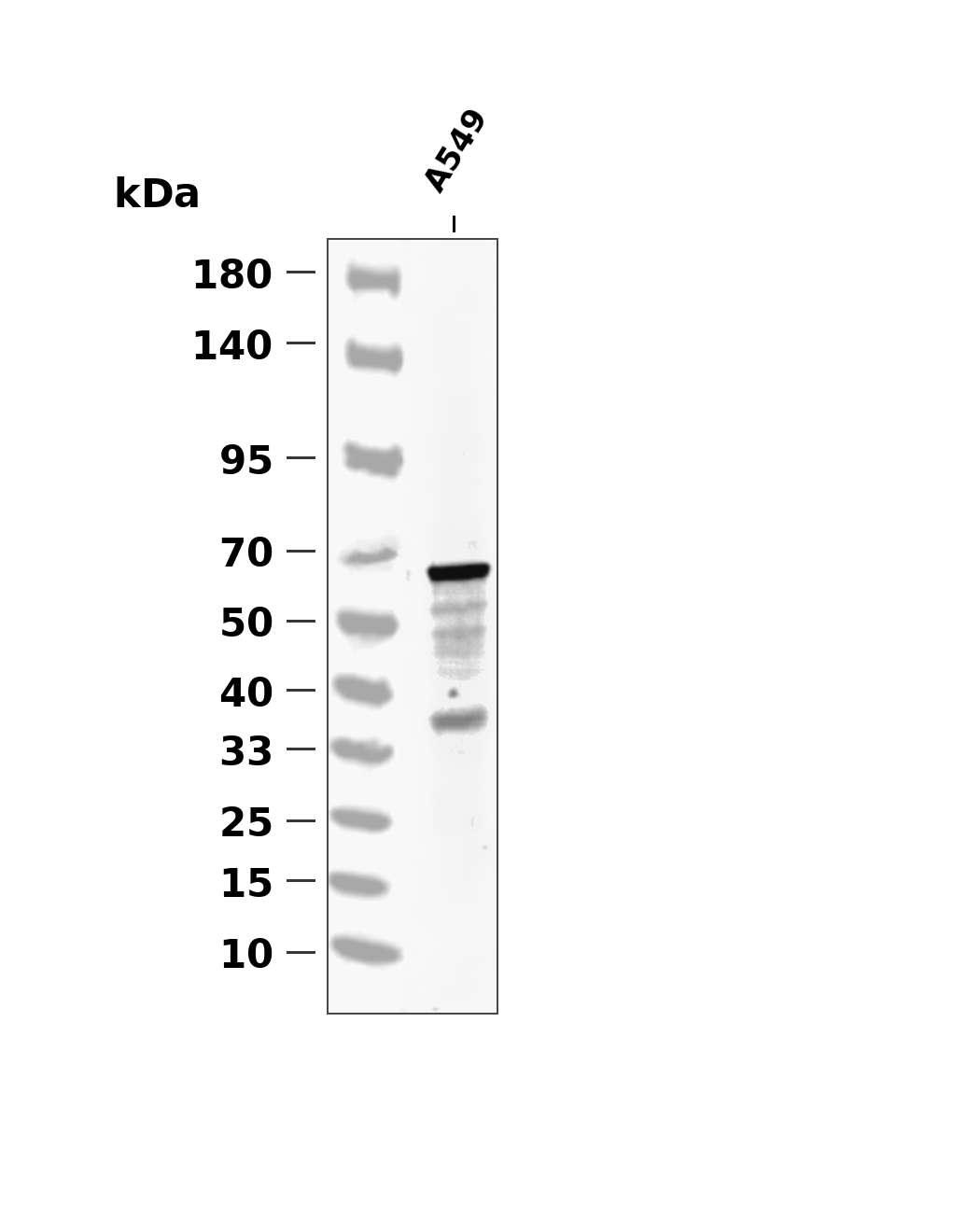 AYP4201
