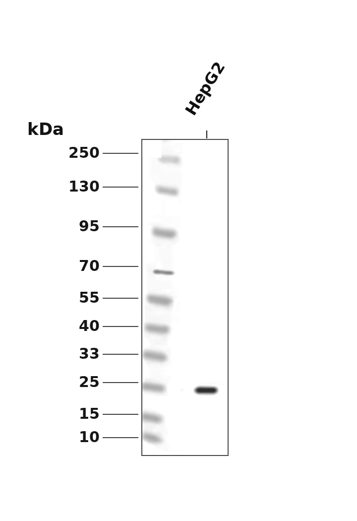 AYD15354