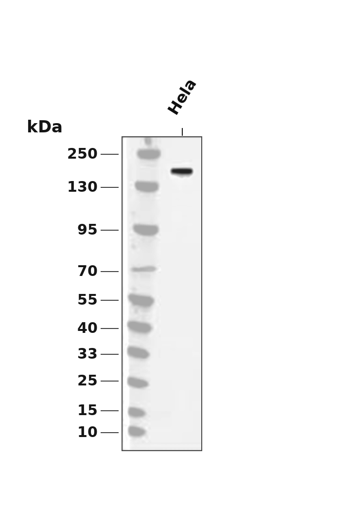 AYD12649