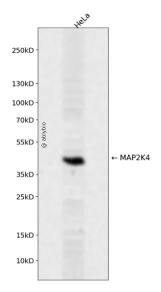 AYP4369