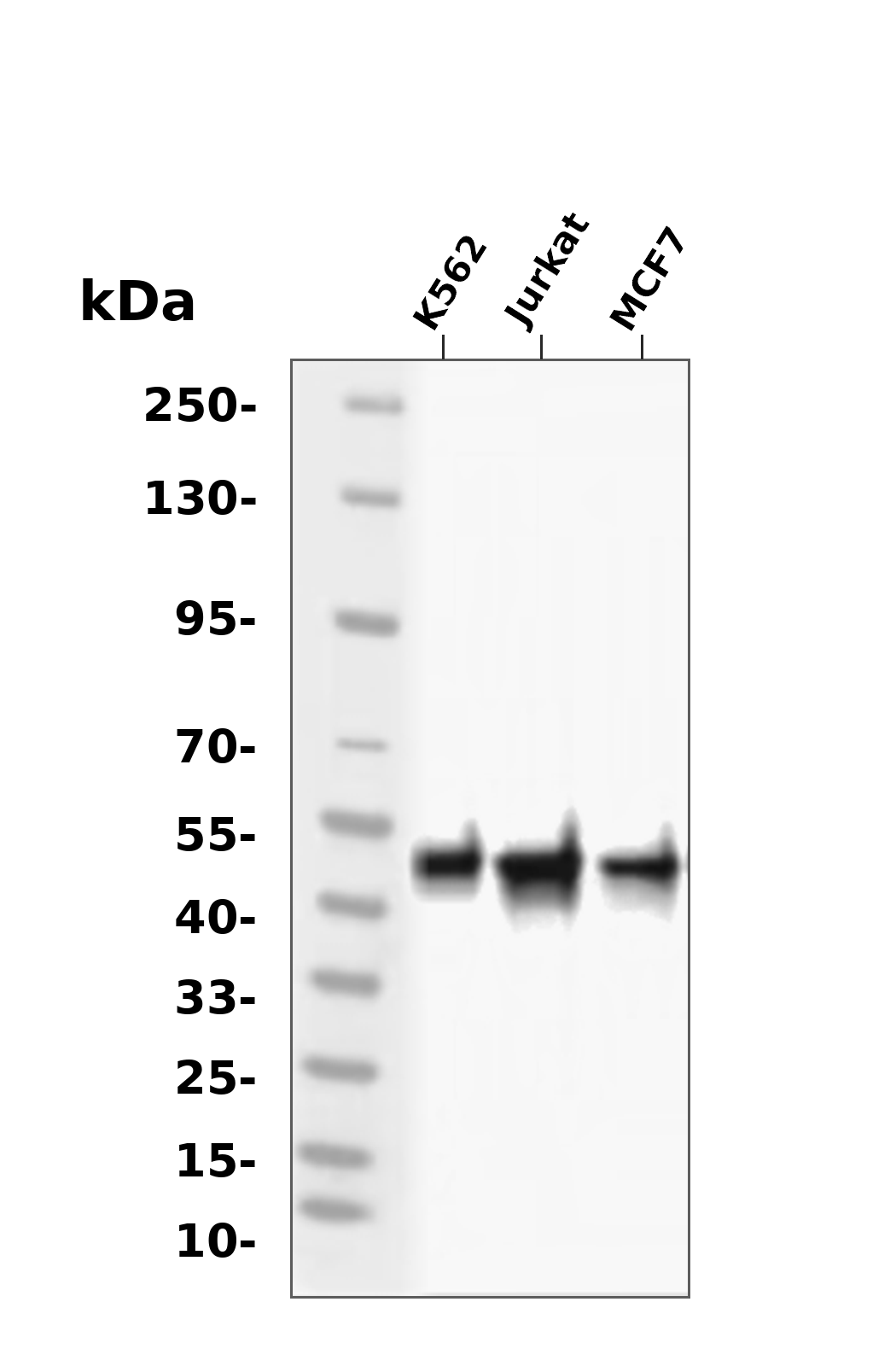 AAY1451