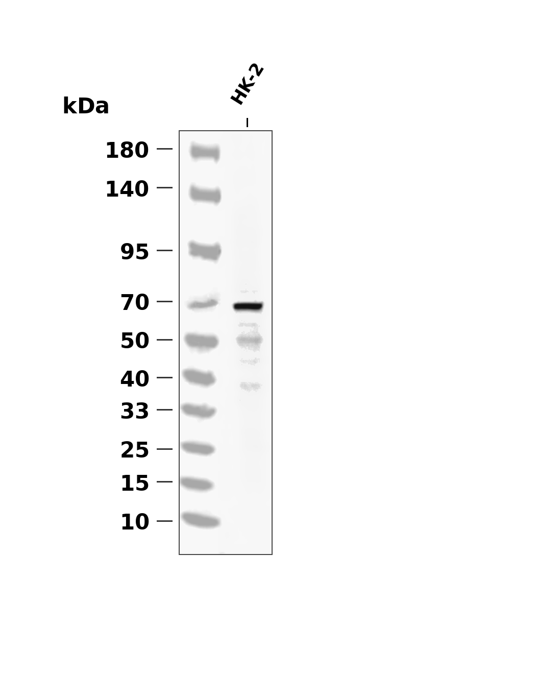 AYD13933