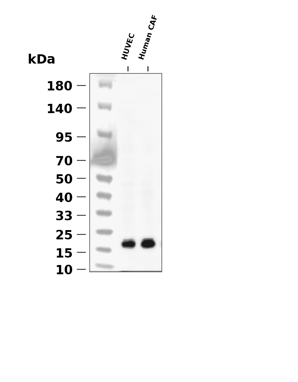 AYD12073