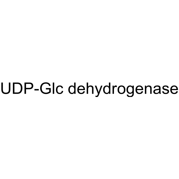 UDP-Glc dehydrogenase